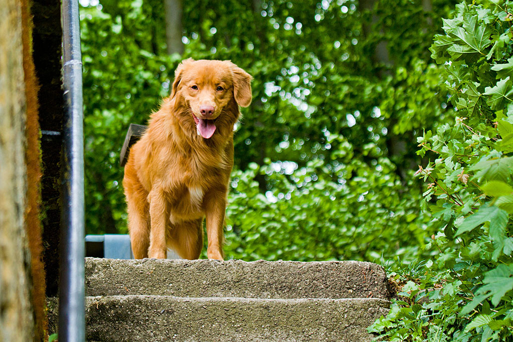 Edison steht oben an der Treppe und lächelt runter