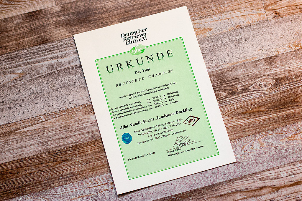 Newtons Urkunde zum deutschen Champion (DRC)