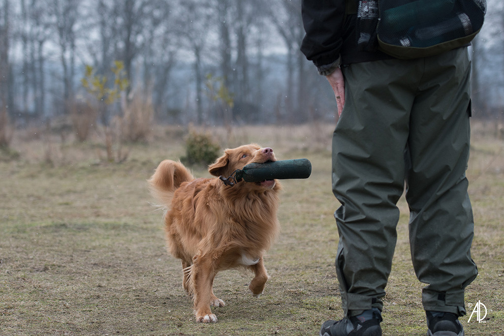 Edison bringt den Dummy zurück zu Stephan und schaut ihn dabei an