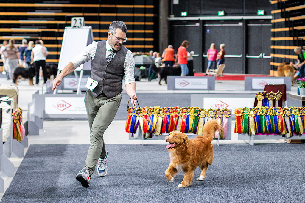 Newton läuft fröhlich neben Stephan eine Runde im Ring