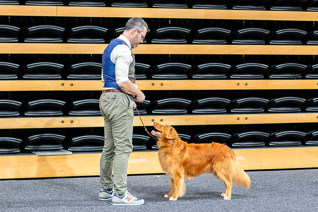 Edison steht frontal vor Stephan und schaut lächelnd zu ihm hoch