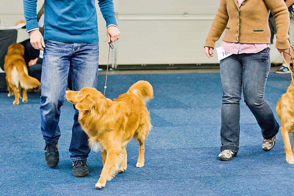 Edison verlässt mit Stephan den Ring