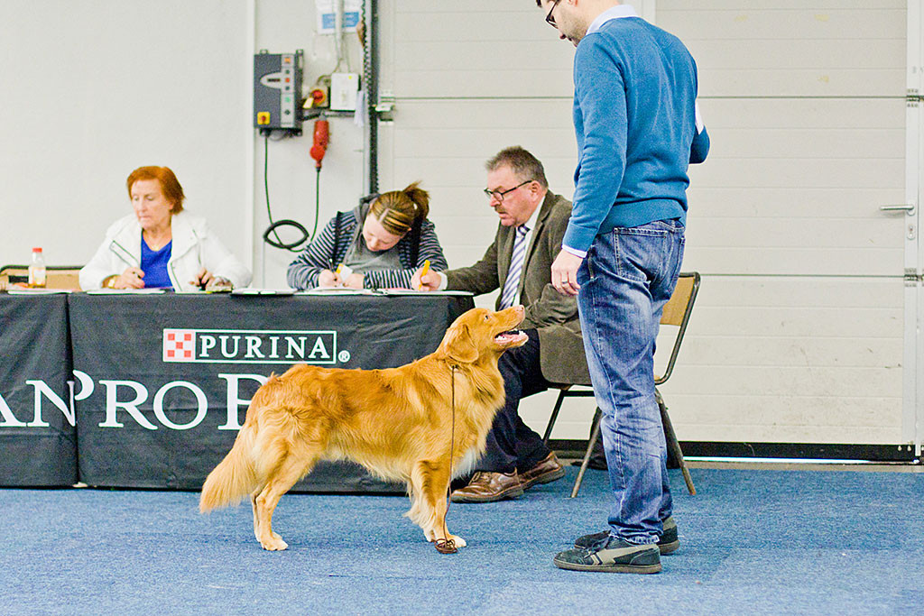 Edison posiert lächelnd vor dem Richtertisch und schaut dabei Stephan an, der vor ihm steht