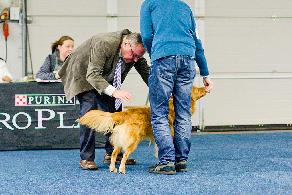 Edison wird vom Richter Peter Machetanz abgetastet während Stephan auf der gegenüberliegenden Seite steht