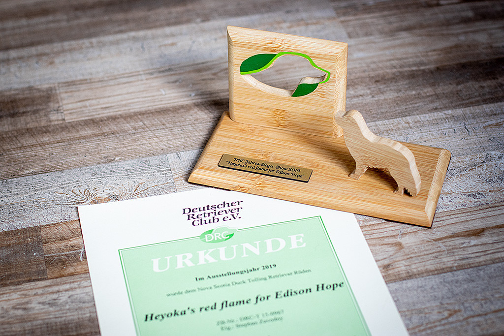 Edisons Urkunde und Trophäe zum DRC Jahres-Sieger-Show 2019