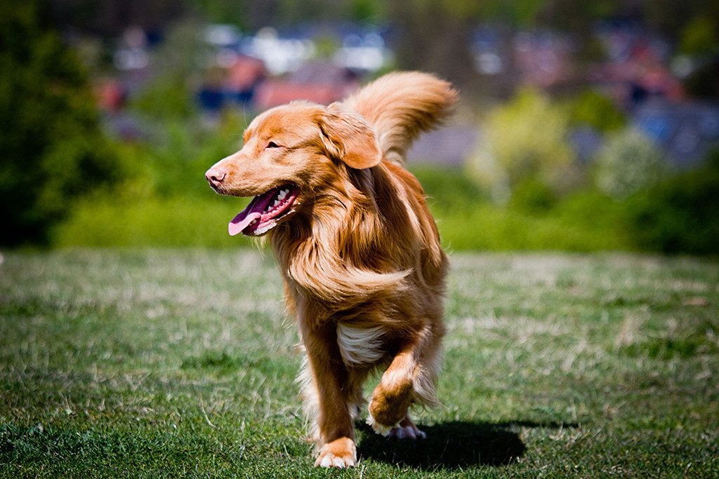 Edison läuft lächelnd lässig auf die Kamera zu