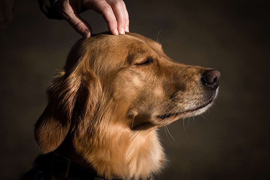 Mia genießt bei geschlossenen Augen die Sonne und wird dabei von Sylke am Kopf gekrault