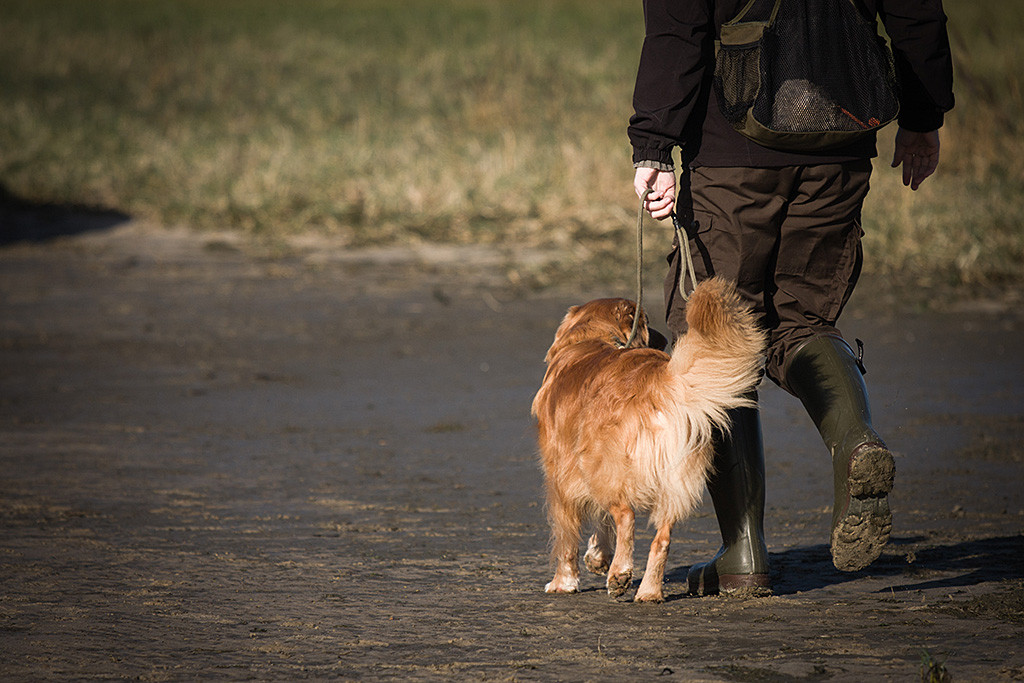 Edison läuft an der Seite von Stephan über den matschigen Stand