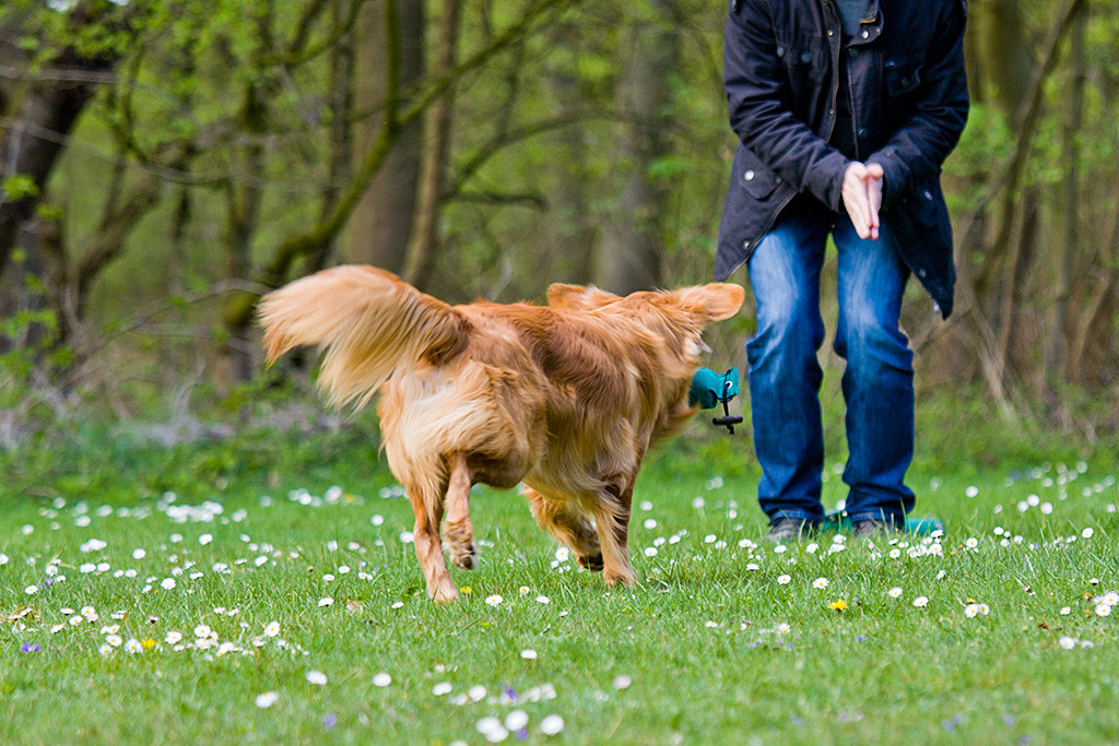 Edison bringt den Dummy zurück zu Stephan