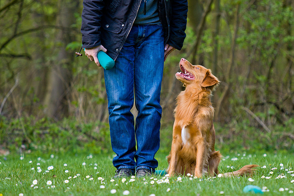 Edison lächelt Stephan nach der Dummyabgabe an