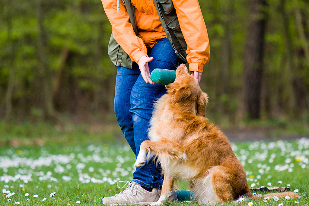 Frieda gibt den Dummy an Sigrid ab