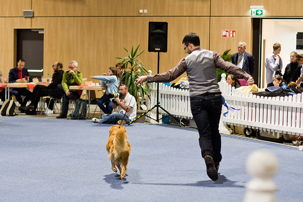 Edison und Stephan in Rückenansicht, wie sie durch den Ehrenring laufen