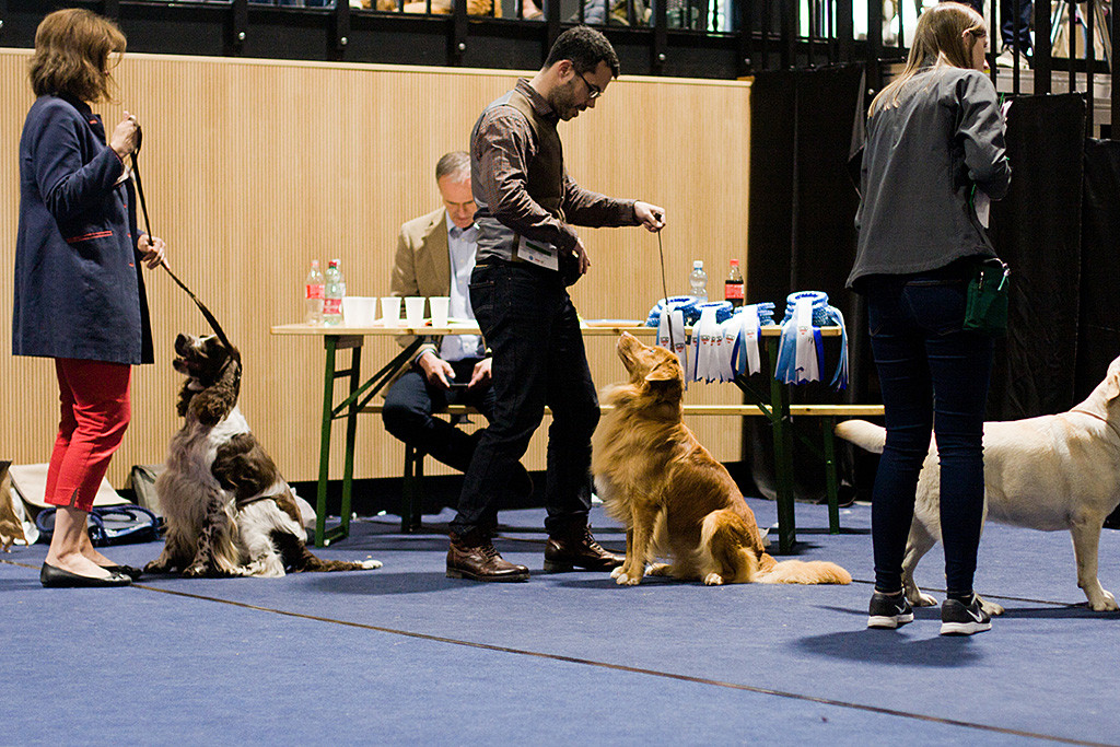 Edison sitzt vor Stephan im Vorring und schaut zu ihm hoch