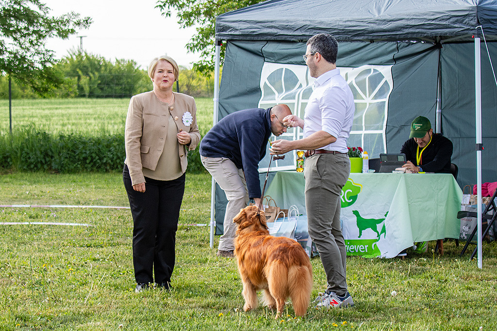 Edison steht zusammen mit Stephan bei der Richterin, die zusammen mit Stephan lacht