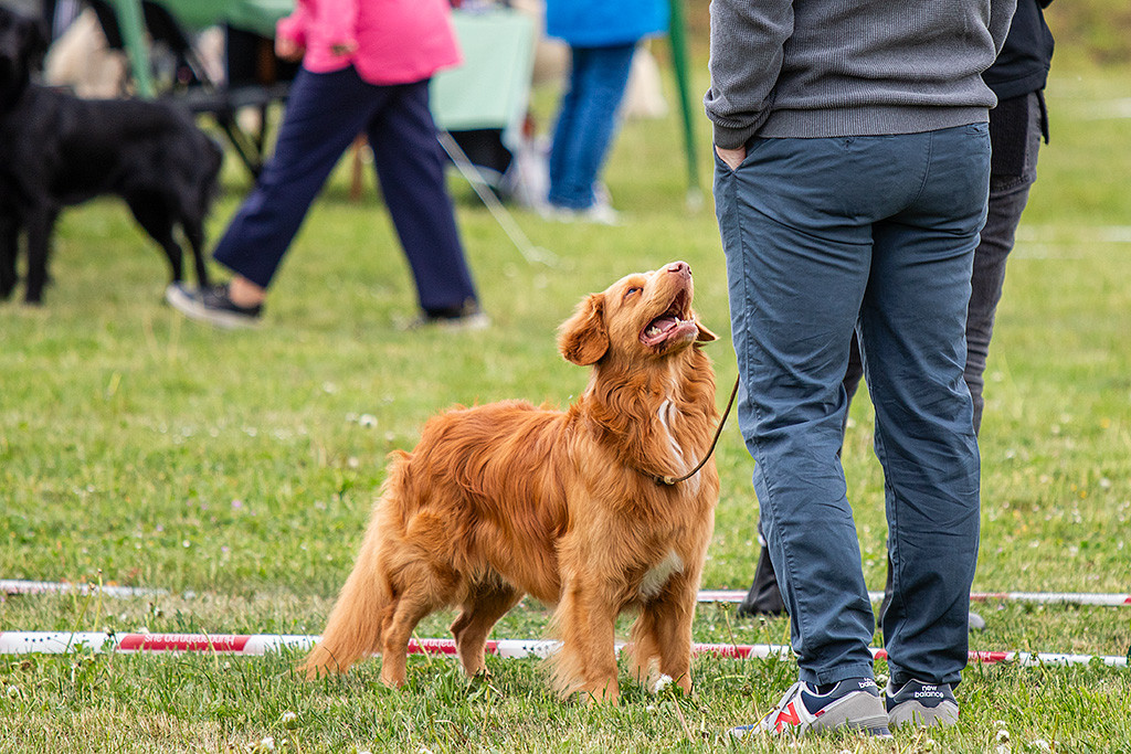 Newton steht frontal vor Stephan und himmelt ihn an