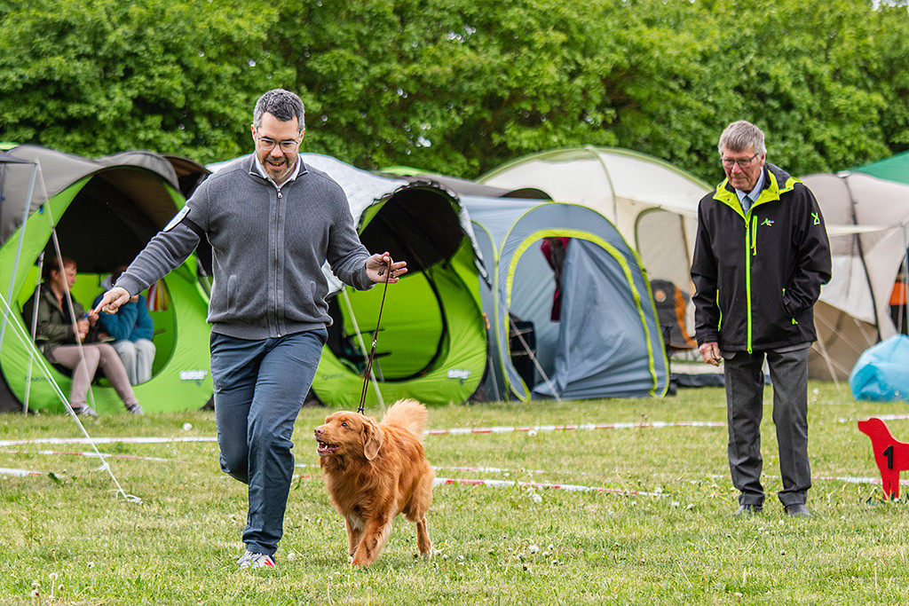 Edison läuft freudig auf der Geraden an Stephans Seite, im Hintergrund begutachtet der Richter