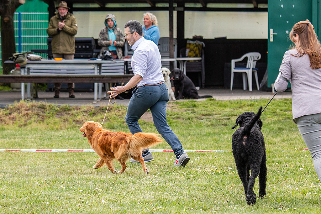 Newton läuft im perfekten Kreuzgang an Stephans Seite durch den Ring, dahinter Samu mit Ann-Kathrin