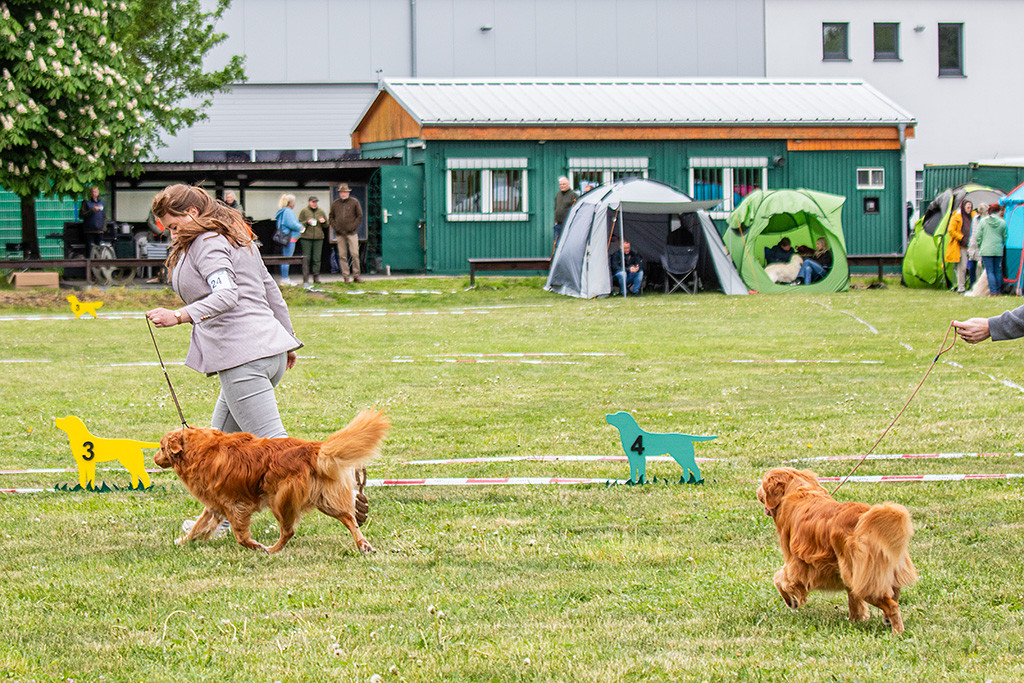 Edison & Newton laufen gemeinsam durch den Ring