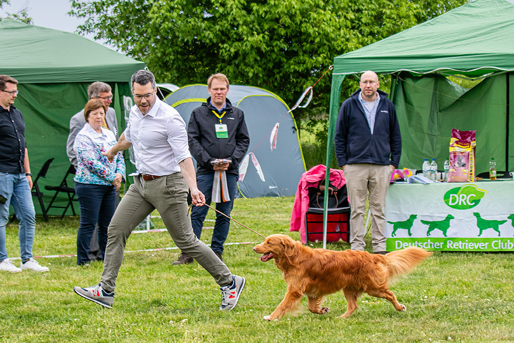 Newton fliegt förmlich an Stephans Seite durch den Ring