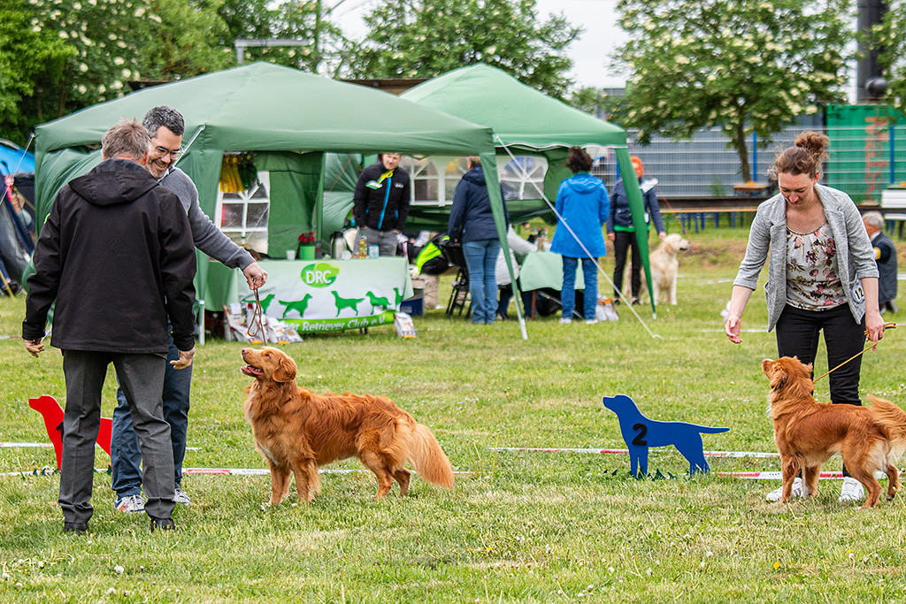 Newton himmelt den Richter an, der ihn zum Rassebesten kürt, daneben steht die beste Junghündin mit ihrer Besitzerin