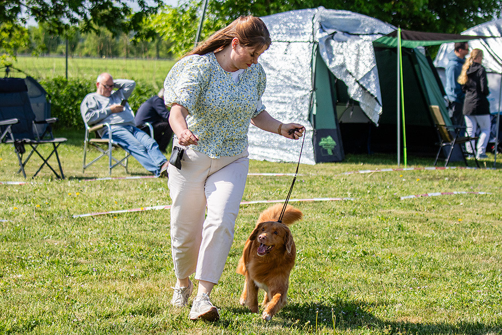 Edison läuft freudig an Ann-Kathrins Seite durch den Ring