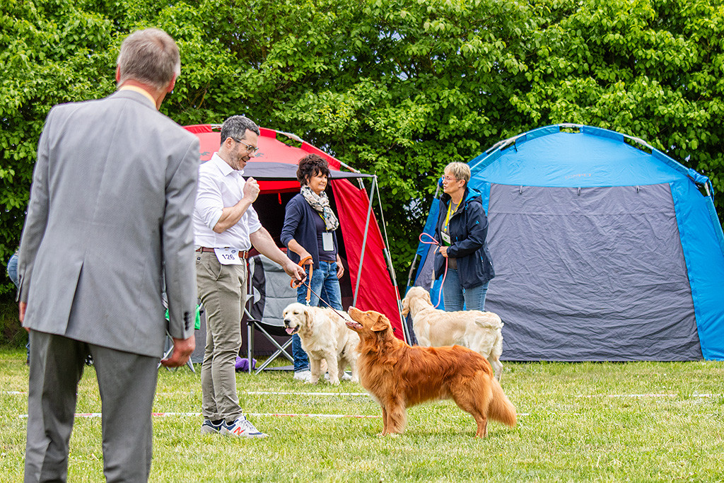 Edison steht frontal vor Stephan im Gras und wird dabei vom Richter beäugt