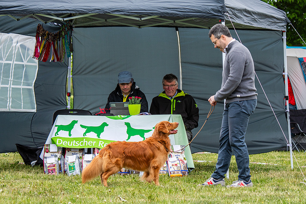 Newton steht lächelnd frontal vor Stephan und präsentiert sich dem Richter vor dem Richtertisch, der den Bericht diktiert