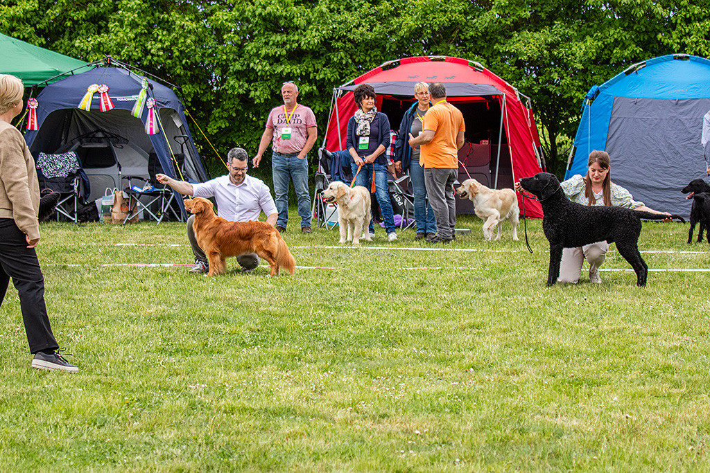 Newton mit Stephan und Samu mit Ann-Kathrin stellen sich auf