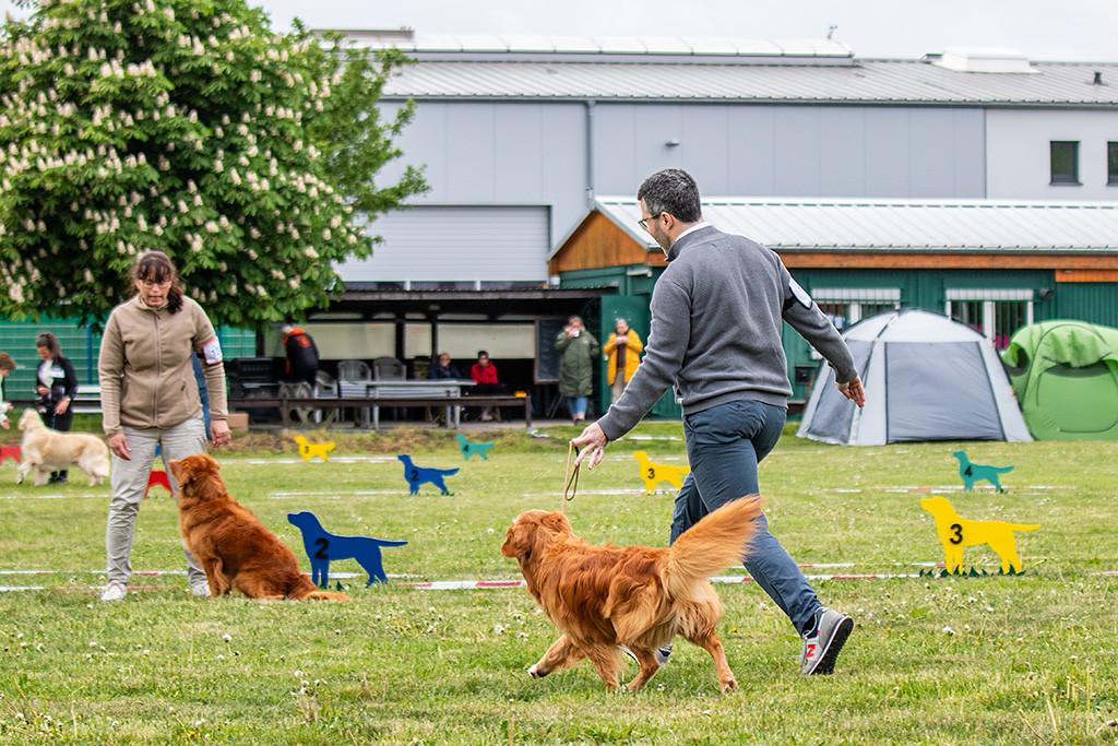Newton läuft im perfekten Kreuzgang an Stephans Seite