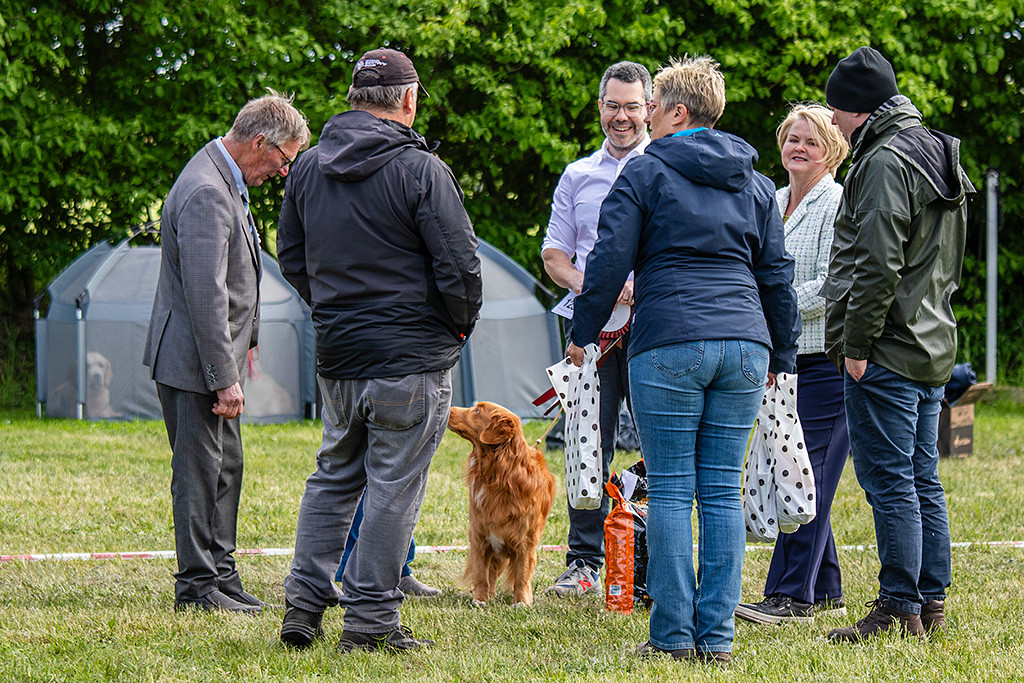 Newton flirtet wieder mit dem schwedischen Richter während sich der Rest angeregt unterhält
