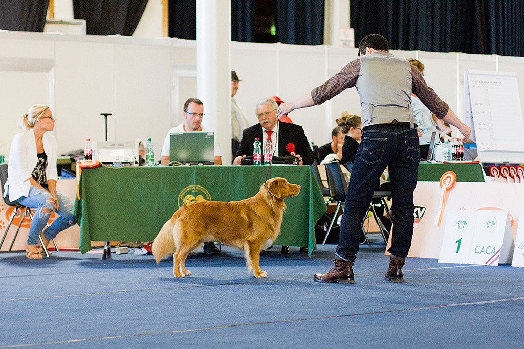 Edison steht wie eine Statue vor dem Richtertisch, während der Richter im Hintergrund den Bericht diktiert