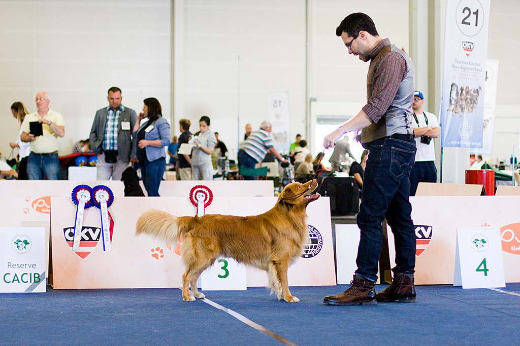 Edison wird von Stephan präsentiert