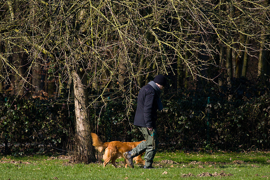 Edison läuft toll bei Fuß