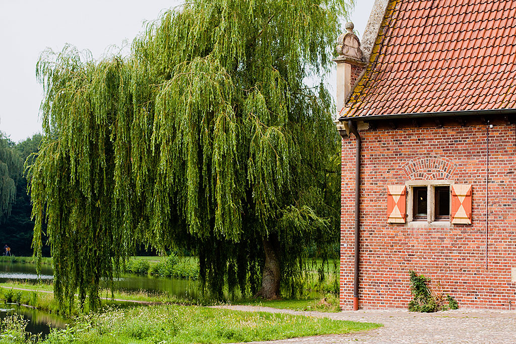 Nebengebäude des Schlosses mit Trauerweide
