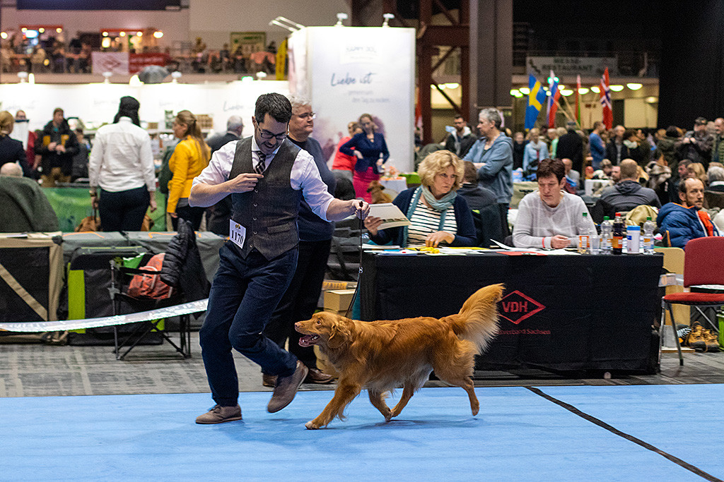 Edison läuft freudig neben Stephan durch den Ring
