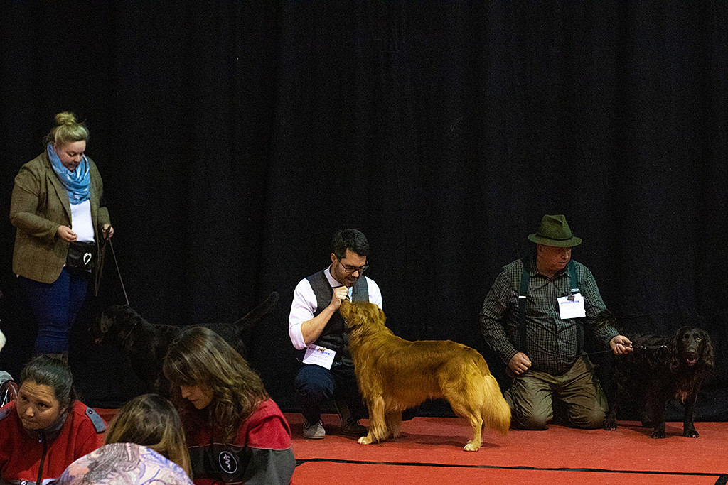 Edison steht zusammen mit Stephan im Vorring, der vor ihm kniet