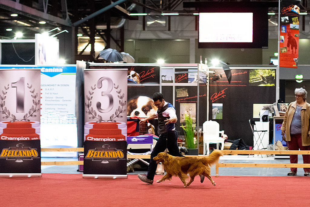 Edison fliegt an der Seite von Stephan durch den Ehrenring