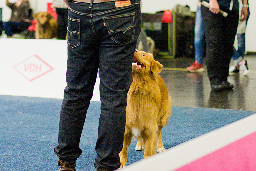 Edison steht vor Stephan, schaut zu ihm hoch und lächelt ihn an