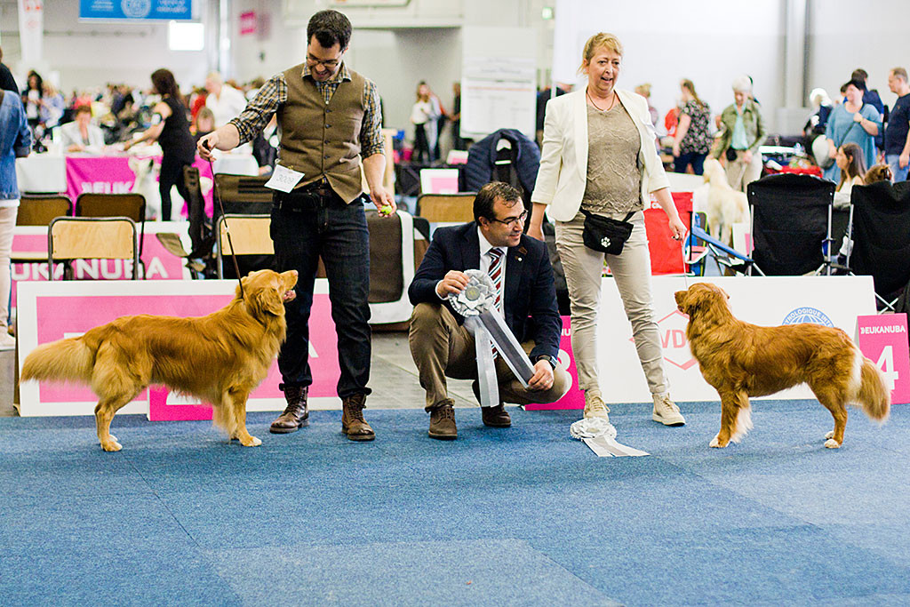 Edison steht beim Gewinnerfoto neben dem Richter und der BOS-Hündin »First Love From The Green Resort«