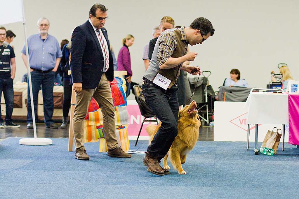 Edison startet freudestrahlend an der Seite von Stephan in die Gerade vom Richter weg