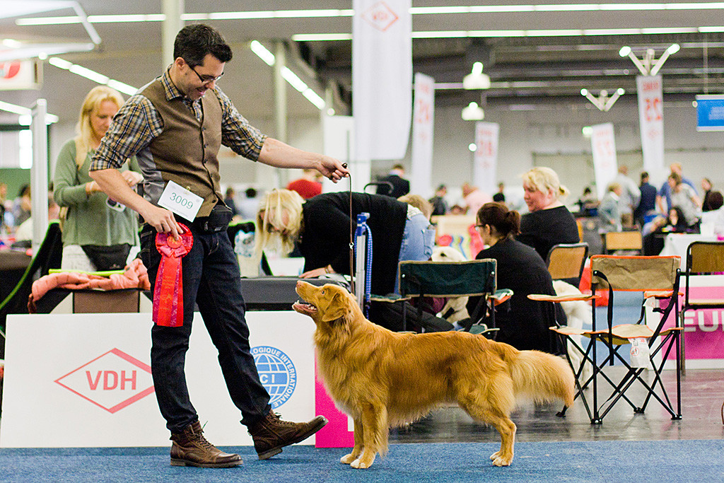 Edison steht breit grinsend als Gewinner der Championklasse vor Stephan, der die rote Gewinnerschleife an der Seite trägt