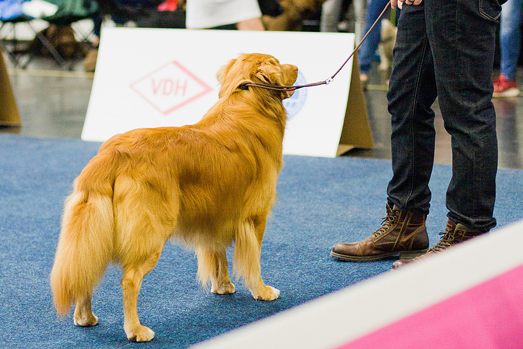 Edison steht vor Stephan und wartet auf seinen Einsatz