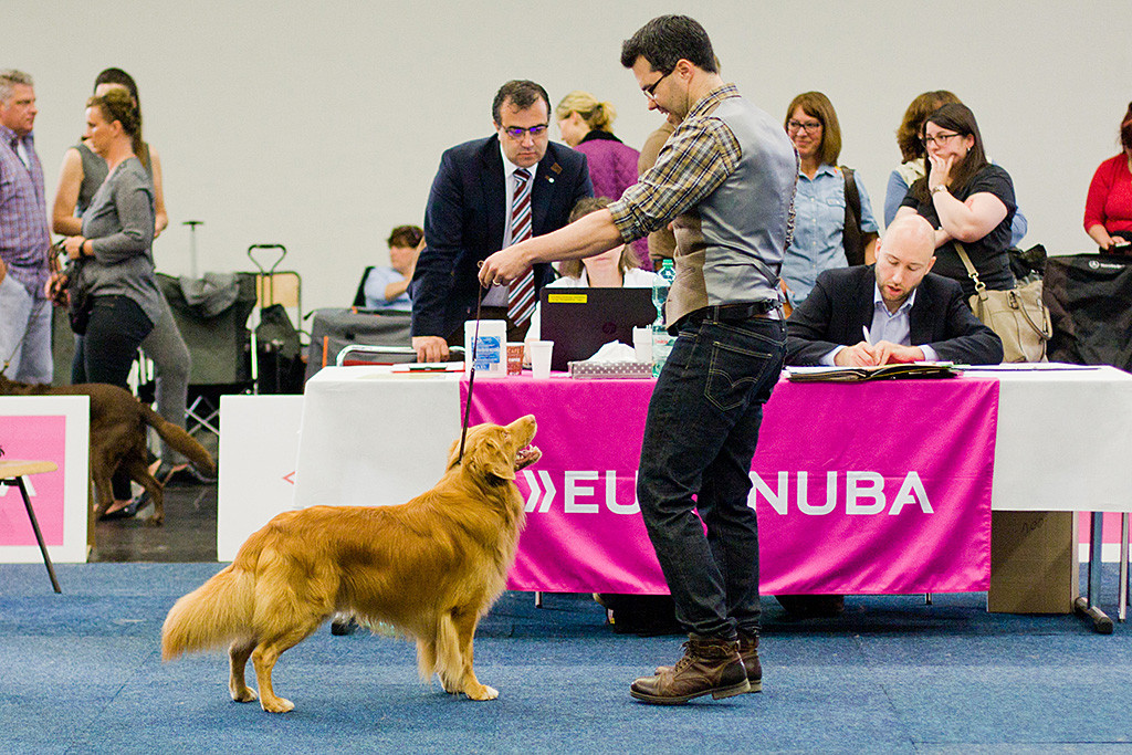 Edison steht zusammen mit Stephan vor dem Richtertisch, dahinter diktiert der Richter seinen Bericht