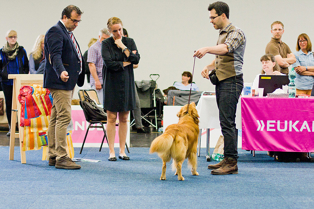 Edison wird von Stephan dem Richter und der RIchteranwärterin präsentiert, die beide ganz genau hinschauen