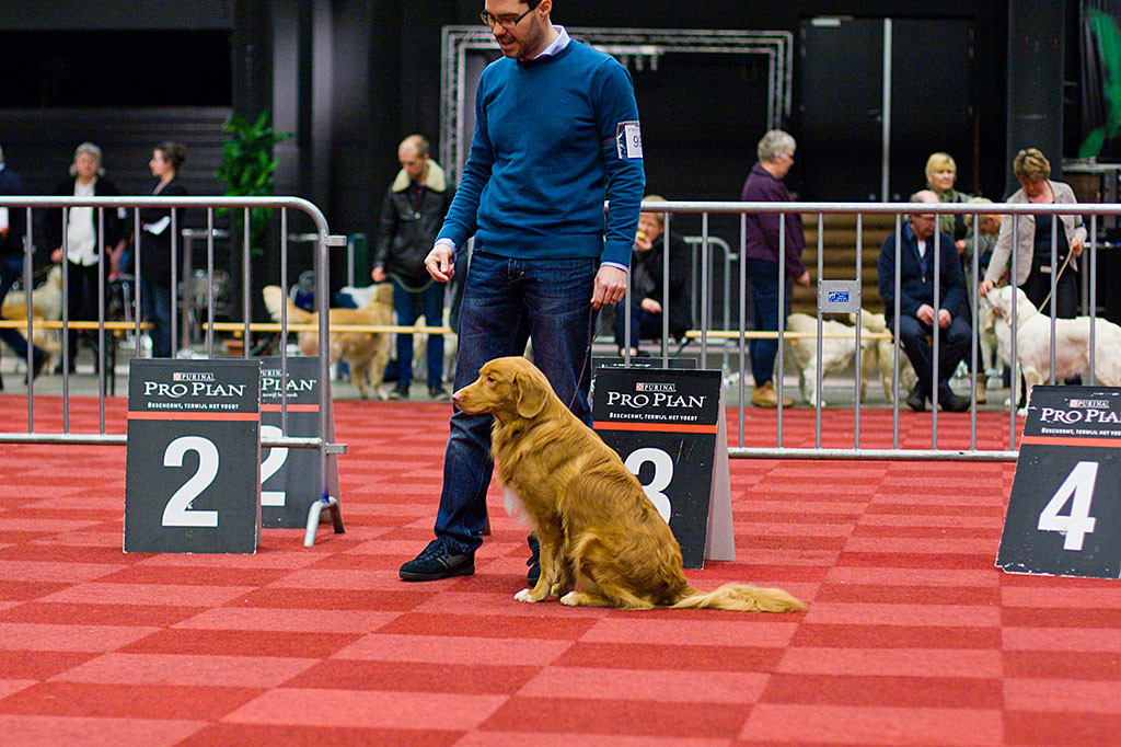 Edison sitzt vor Stephan im Ring