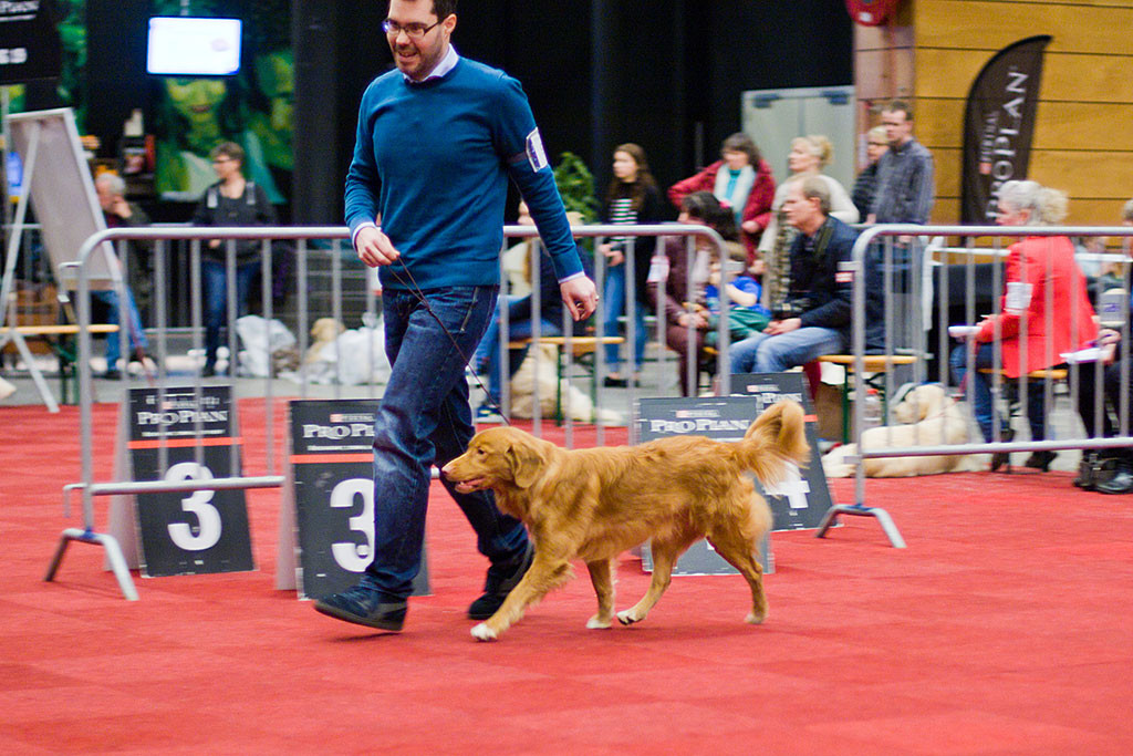 Edison läuft mit Stephan im Kreis