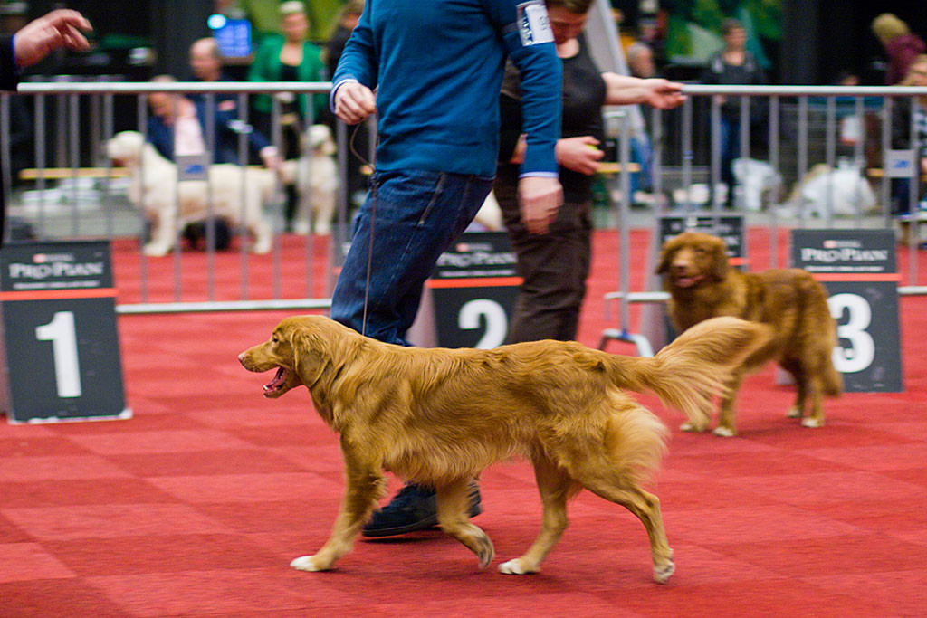 Edison läuft mit Stephan auf und ab