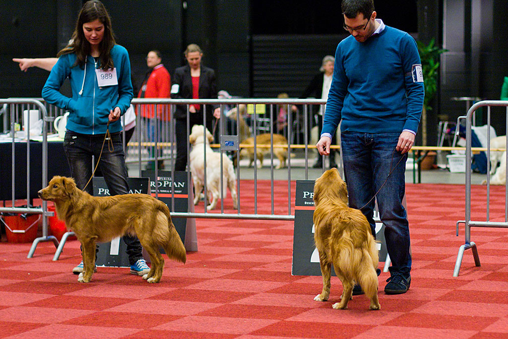 Edison im Vergleich mit Con Fuoco One And Only