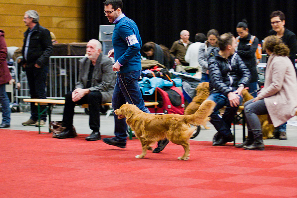Edison läuft mit Stephan eine abschließende Runde Teil 2