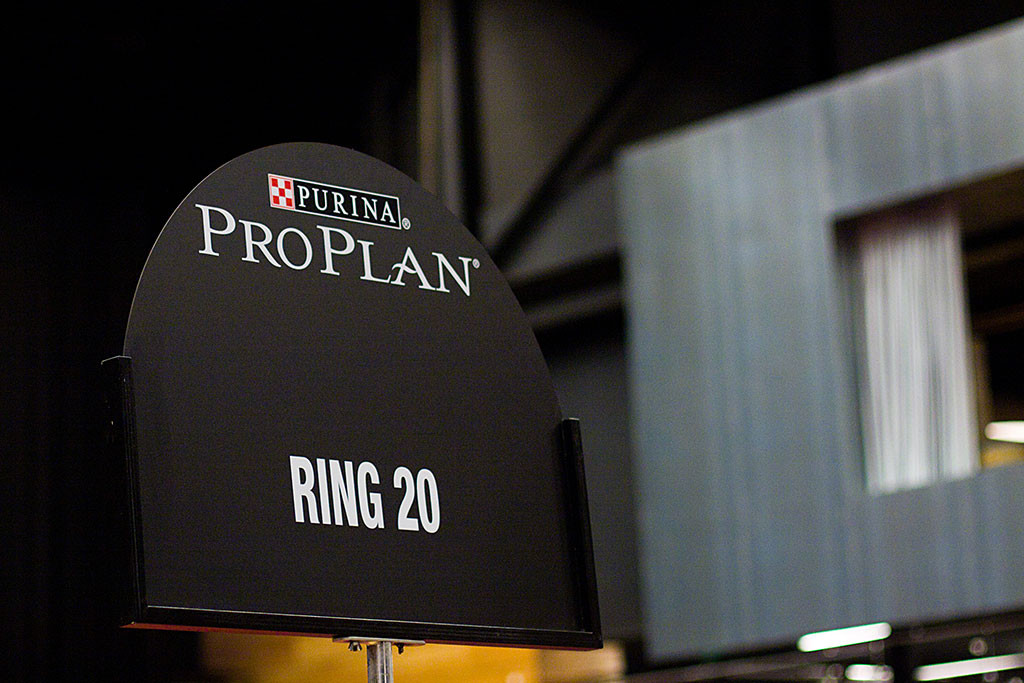 Das Schild mit unserer Ringnummer